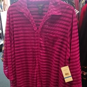 Sheer Pink Striped Button-Up Shirt